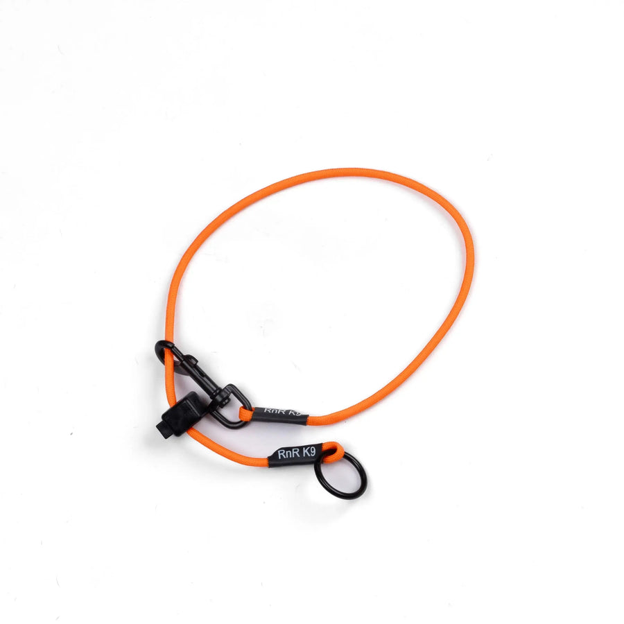 Dominant Dog Collar RnR K9