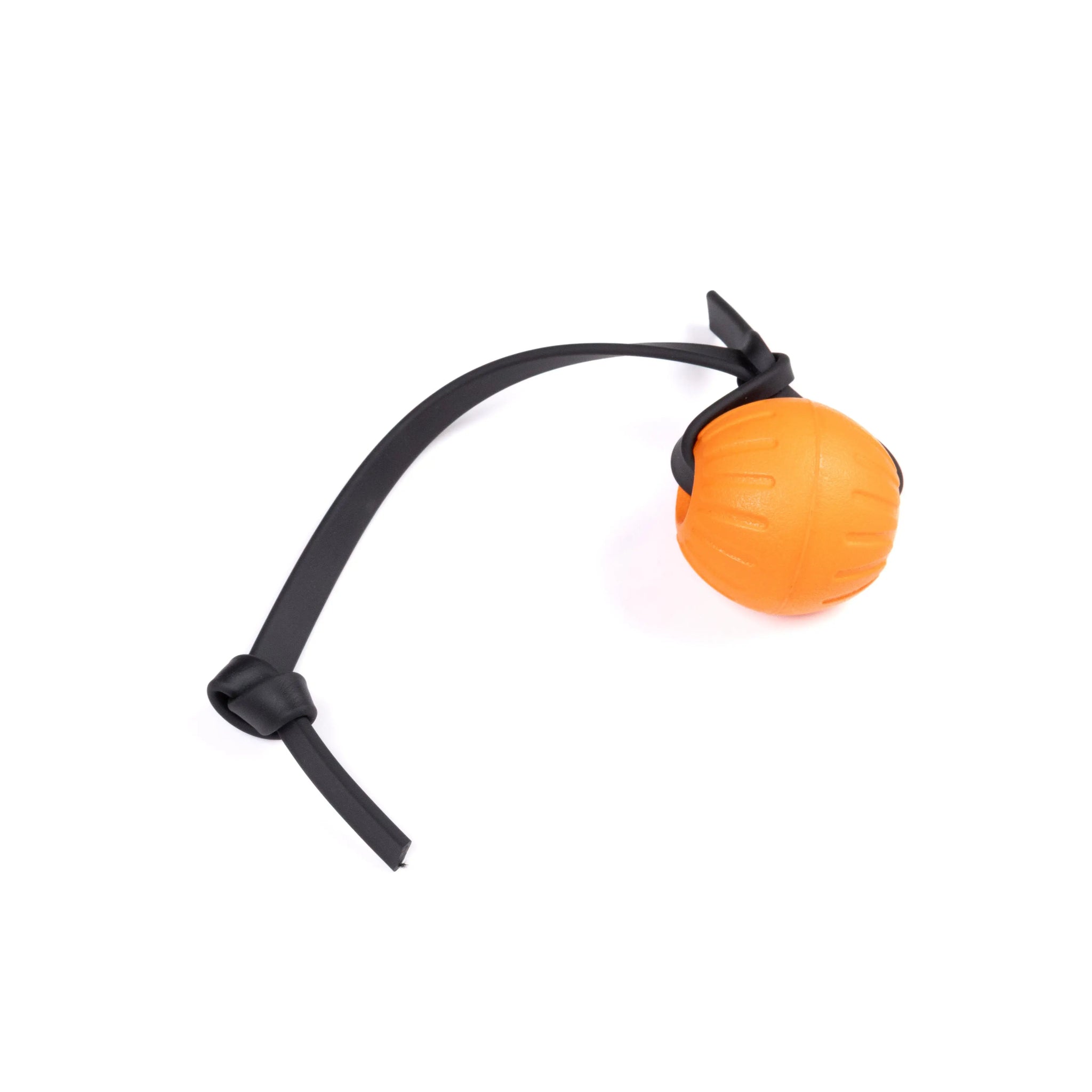 Foam Balls RnR K9