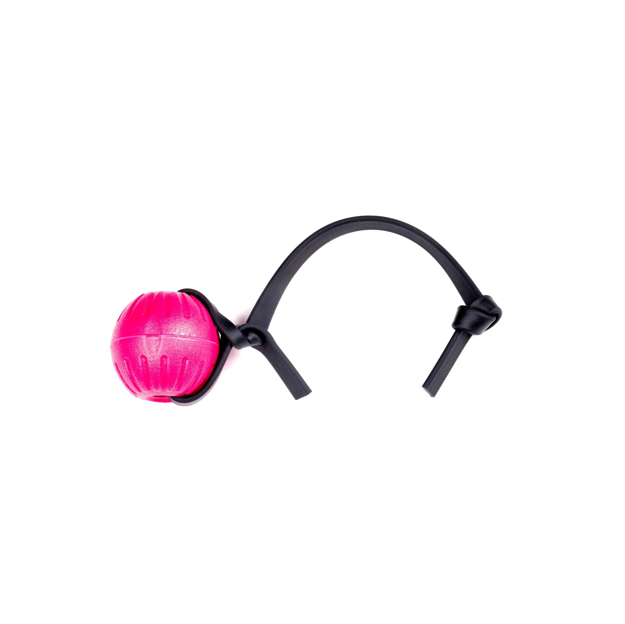 Foam Balls RnR K9