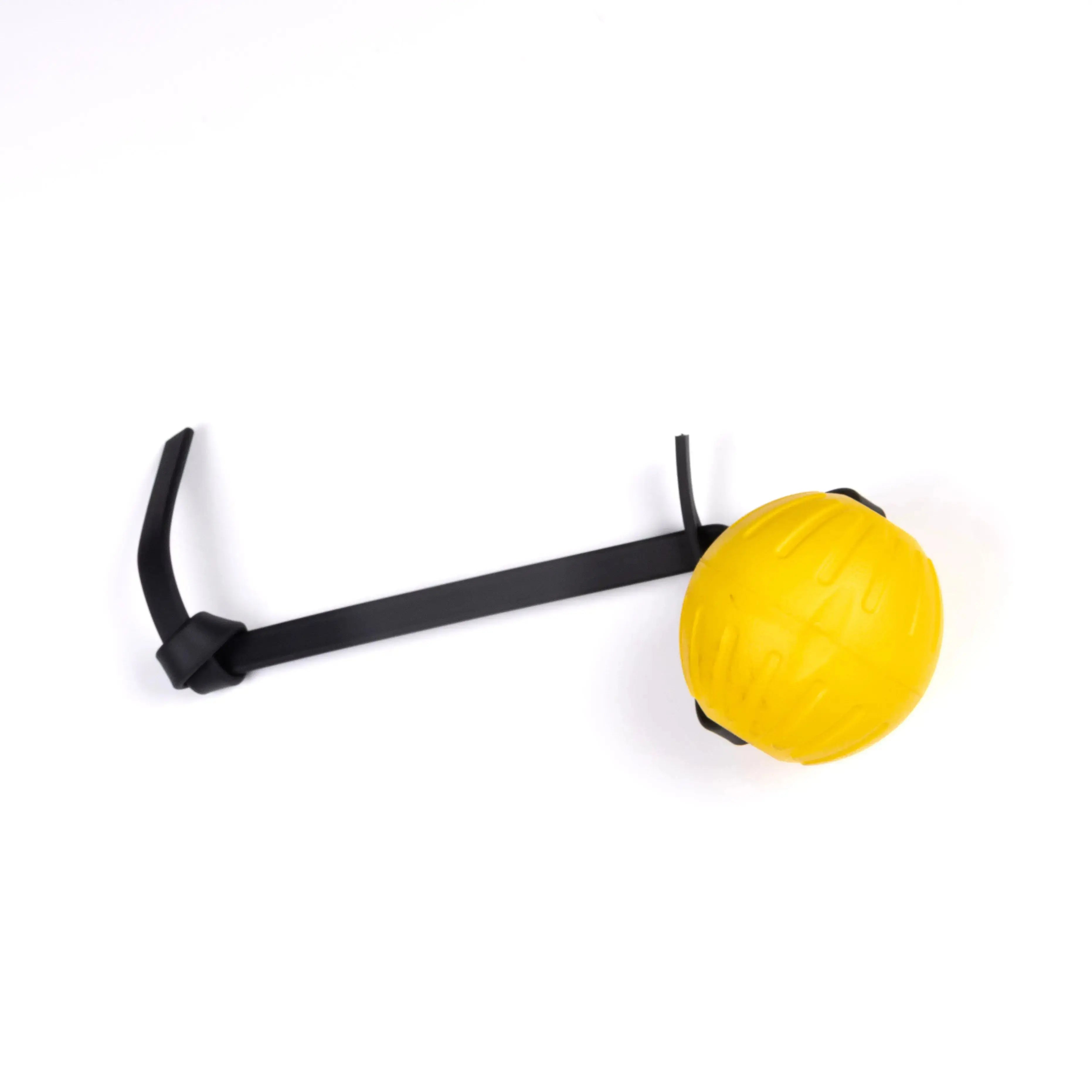 Foam Balls RnR K9