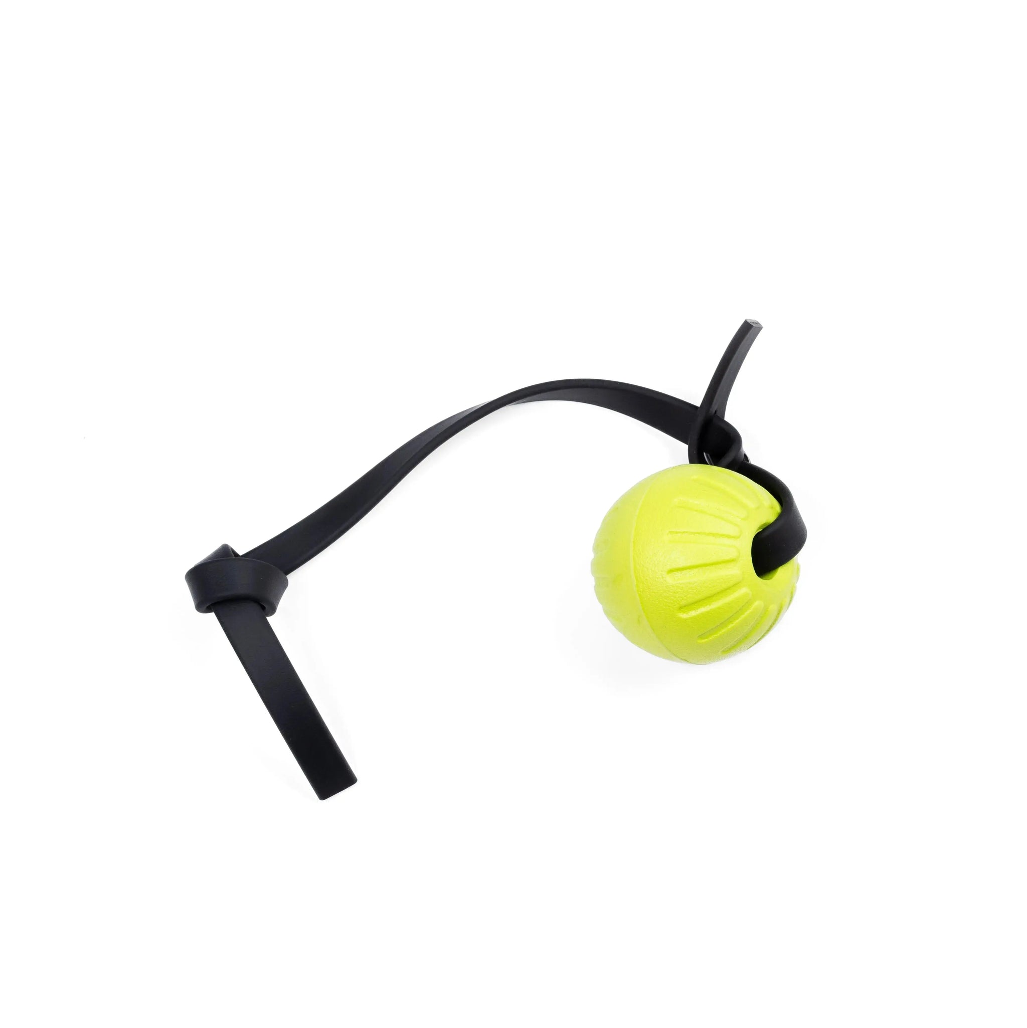 Foam Balls RnR K9