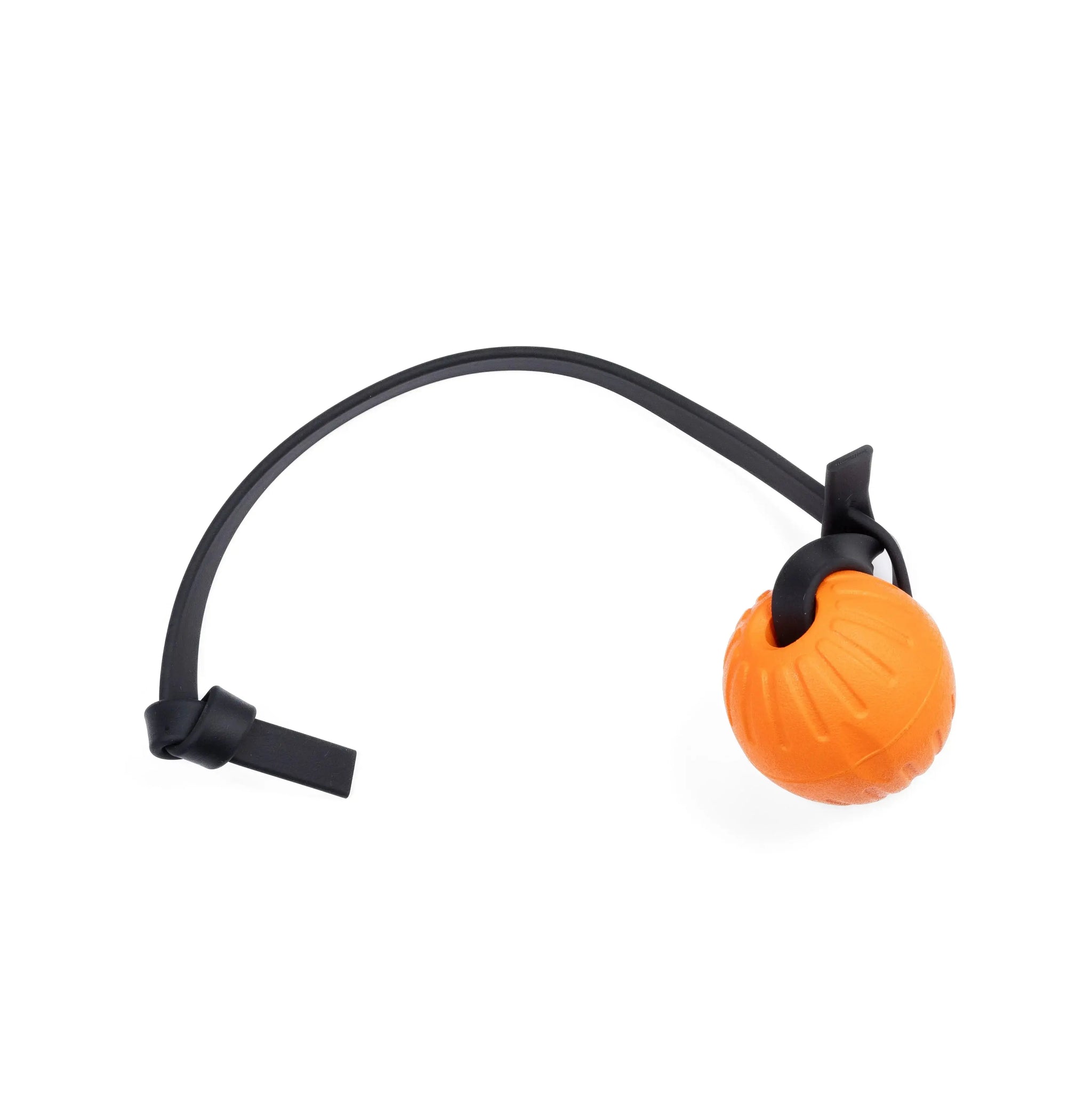 Foam Balls RnR K9