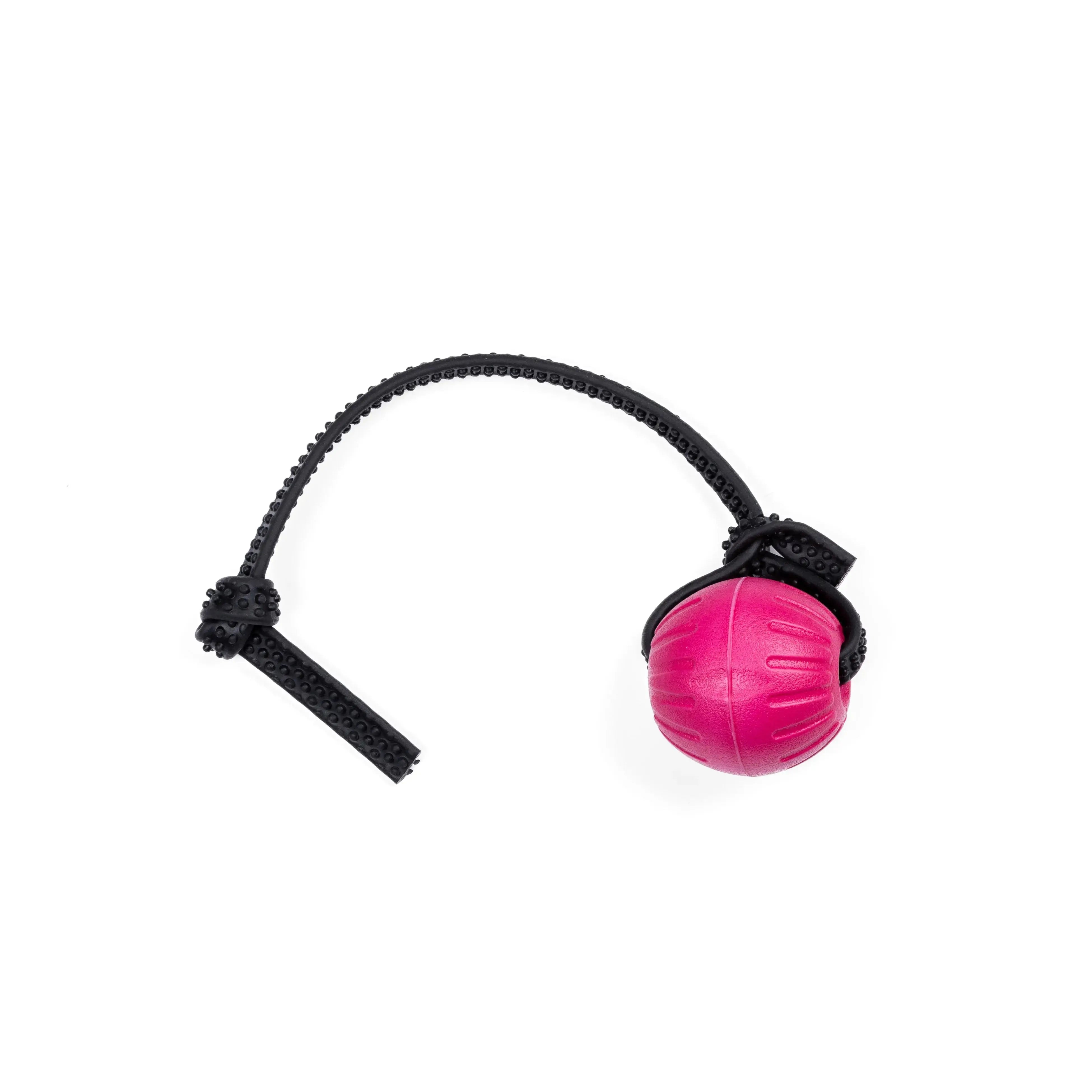 Foam Balls RnR K9