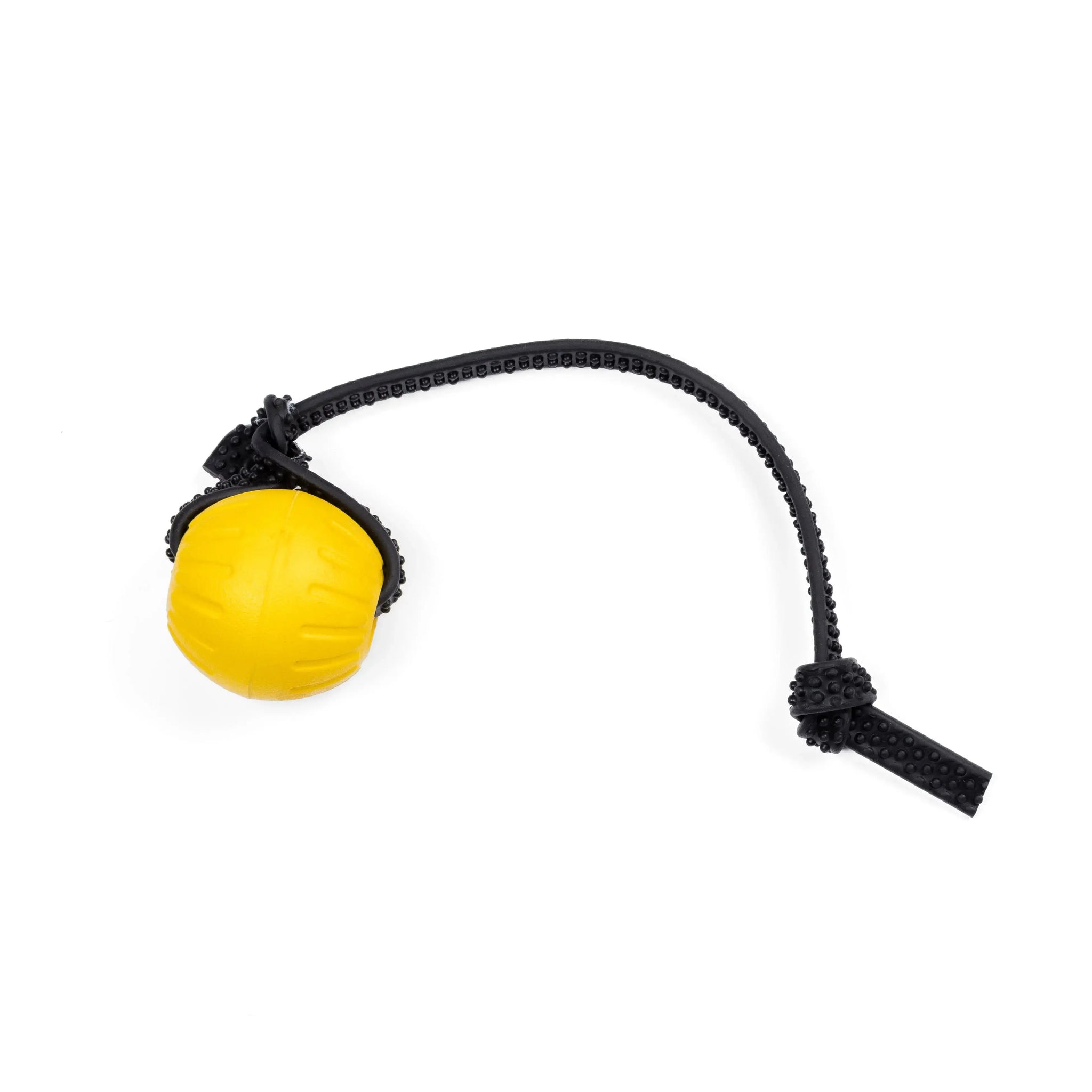 Foam Balls RnR K9
