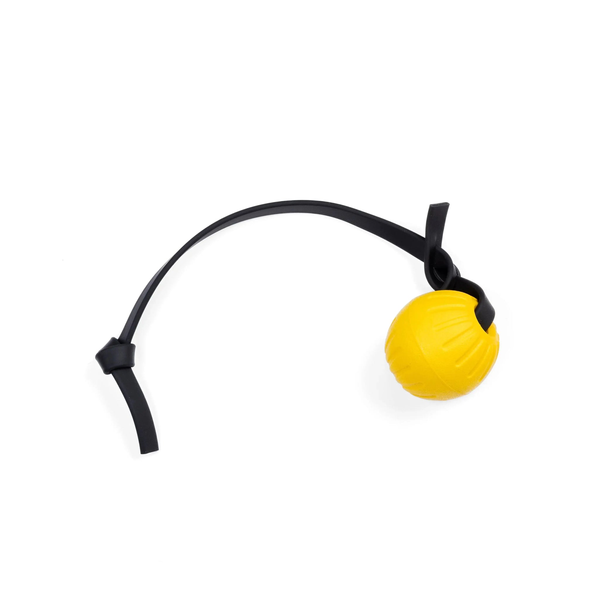 Foam Balls RnR K9