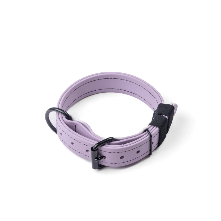 Mini Trial Collars RnR K9