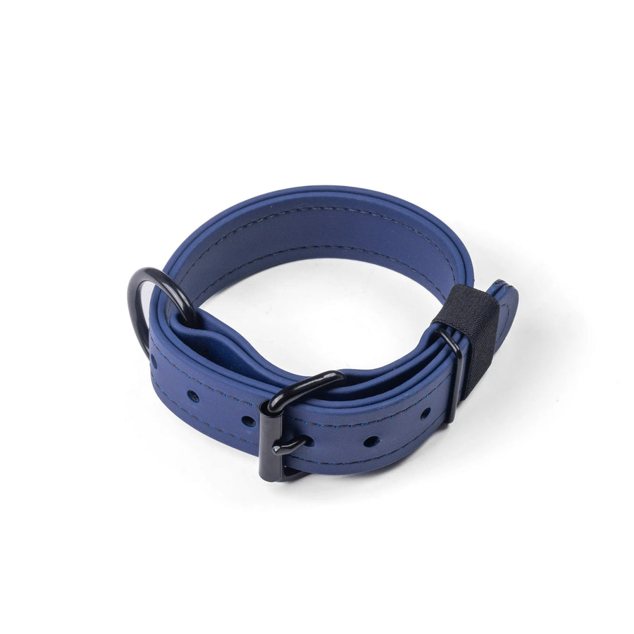 Mini Trial Collars RnR K9