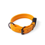 Mini Trial Collars RnR K9
