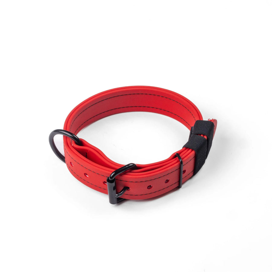 Mini Trial Collars RnR K9