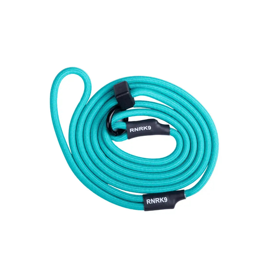 Teal Slip Leash RRNK9