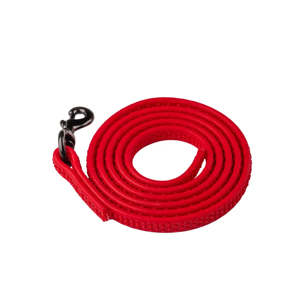 Red Flag - Super Grip Biothane Leash RnR K9