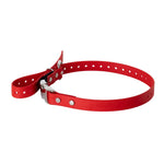 E-Collar Strap RNRK9
