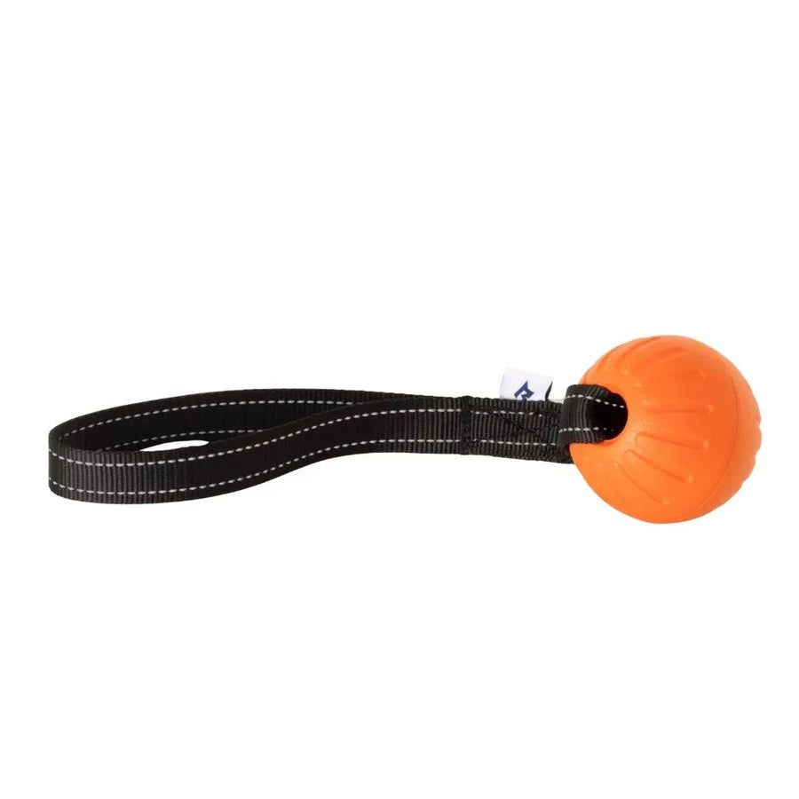 Orange foam ball on black nylon webbing loop handle, RNRK9