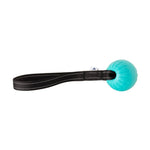 Teal foam ball on black nylon webbing loop handle, RNRK9