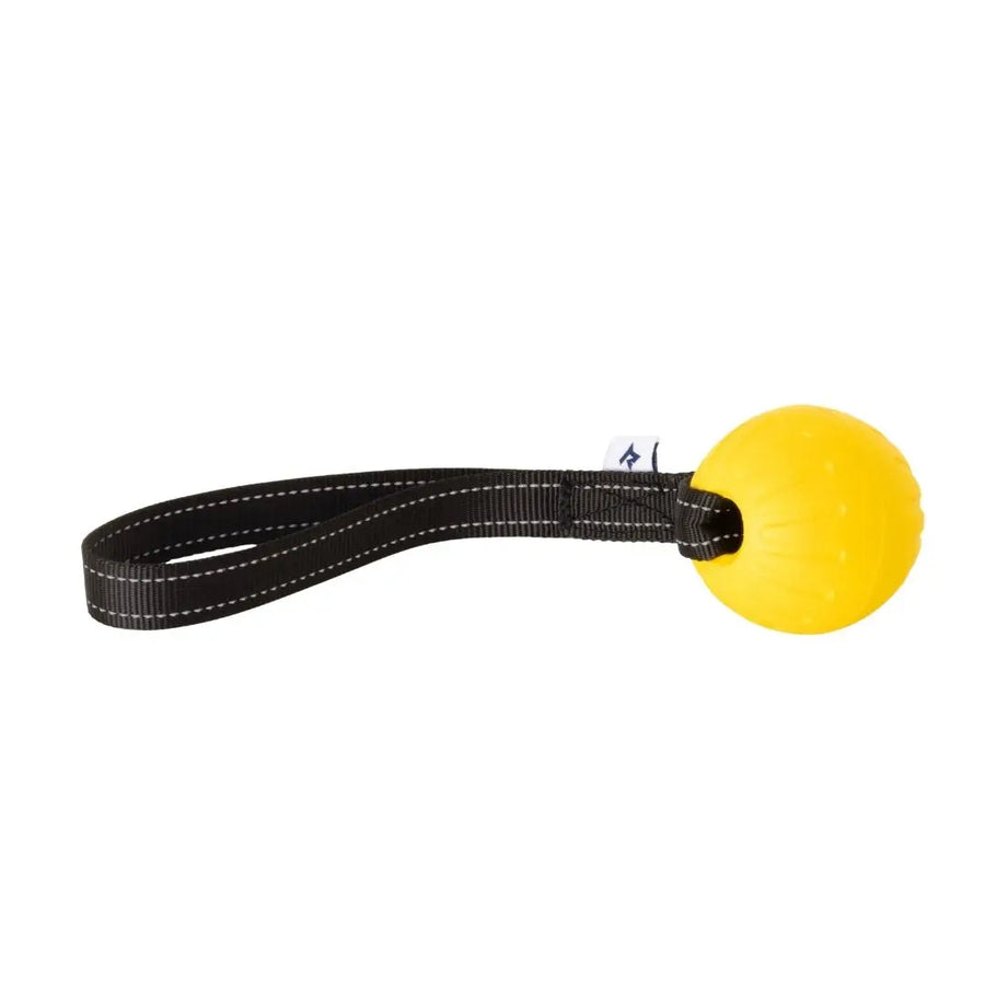 Yellow foam ball on black nylon webbing loop handle, RNRK9