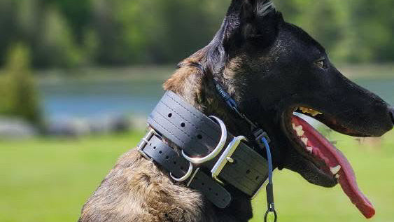 Collars