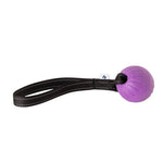Purple foam ball on black nylon webbing loop handle, RNRK9