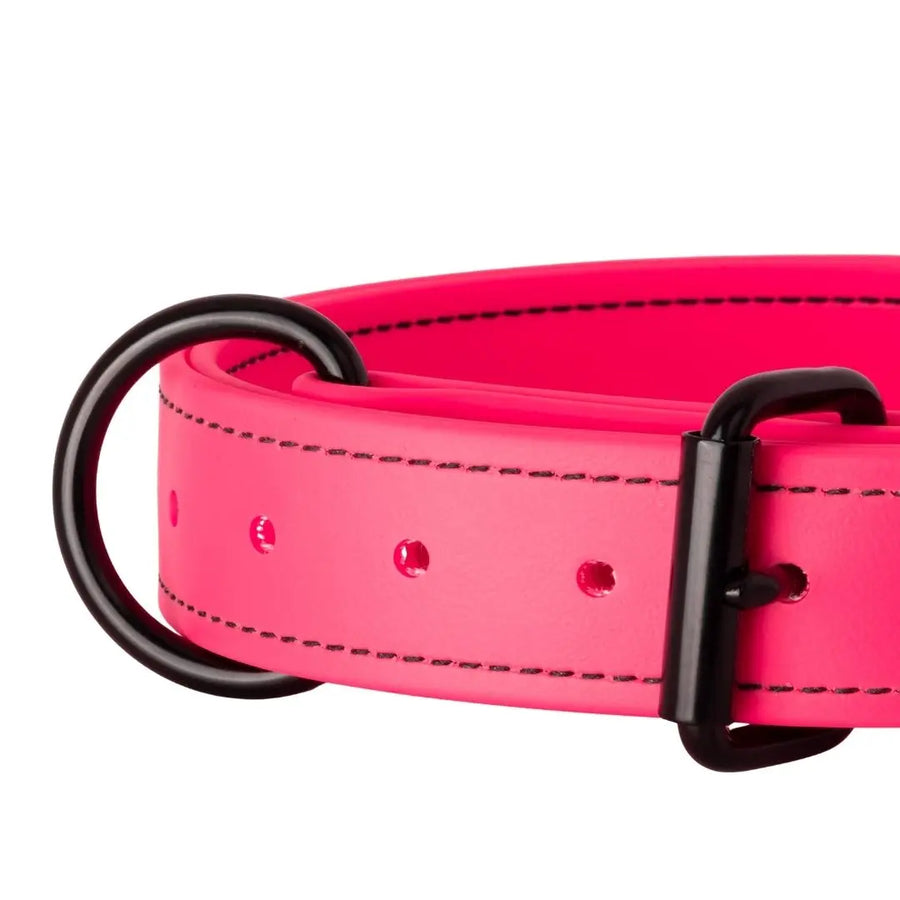 Close-up of neon pink 1.5" Trial Collar D-ring and stitching, RNRK9