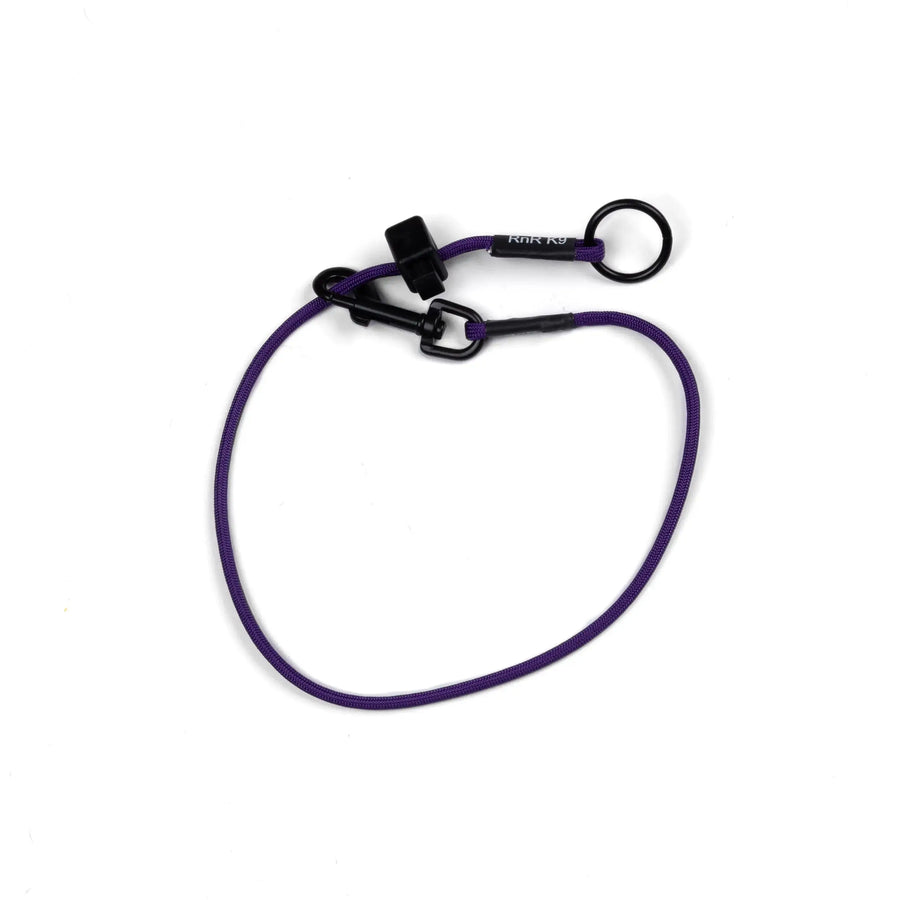 Dominant Dog Collar RnR K9
