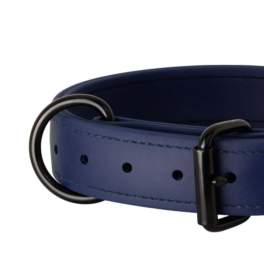 Close-up of navy 1.5" Trial Collar D-ring and stitching, RNRK9