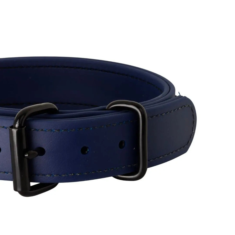 Close-up of navy 1.5" Trial Collar roller buckle and keeper, RNRK9