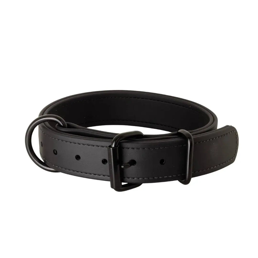 Black 1.5" Trial Collar in BioThane with black roller buckle and D-ring, RNRK9
