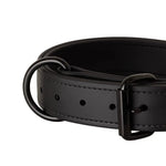Close-up of black 1.5" Trial Collar D-ring and stitching, RNRK9