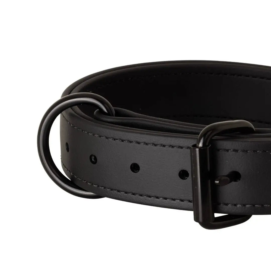 Close-up of black 1.5" Trial Collar D-ring and stitching, RNRK9