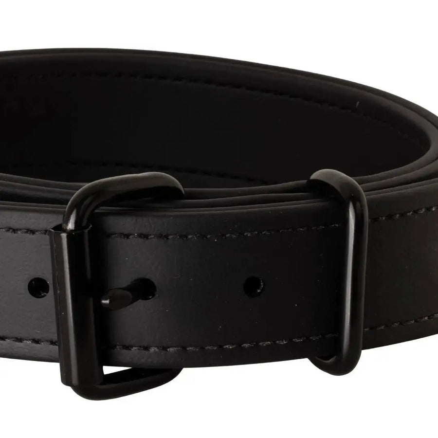 Close-up of black 1.5" Trial Collar roller buckle and adjustment holes, RNRK9
