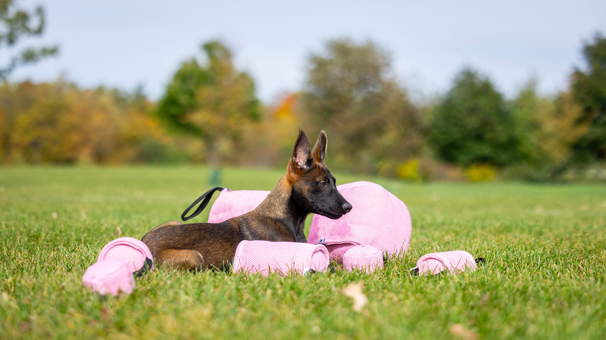 RNRK9 working dog gear