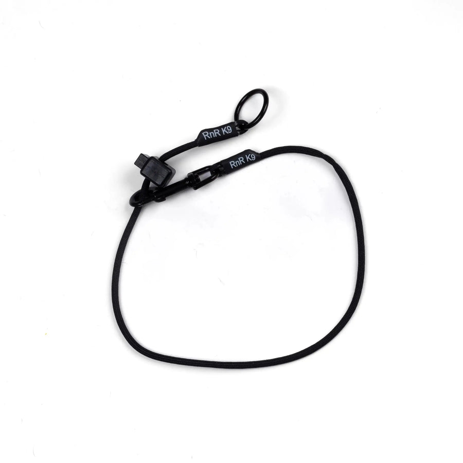 Black Dominant Dog Collar