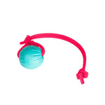 Teal foam ball on knotted pink Grip BioThane rope handle, Pink For A Purpose, RNRK9