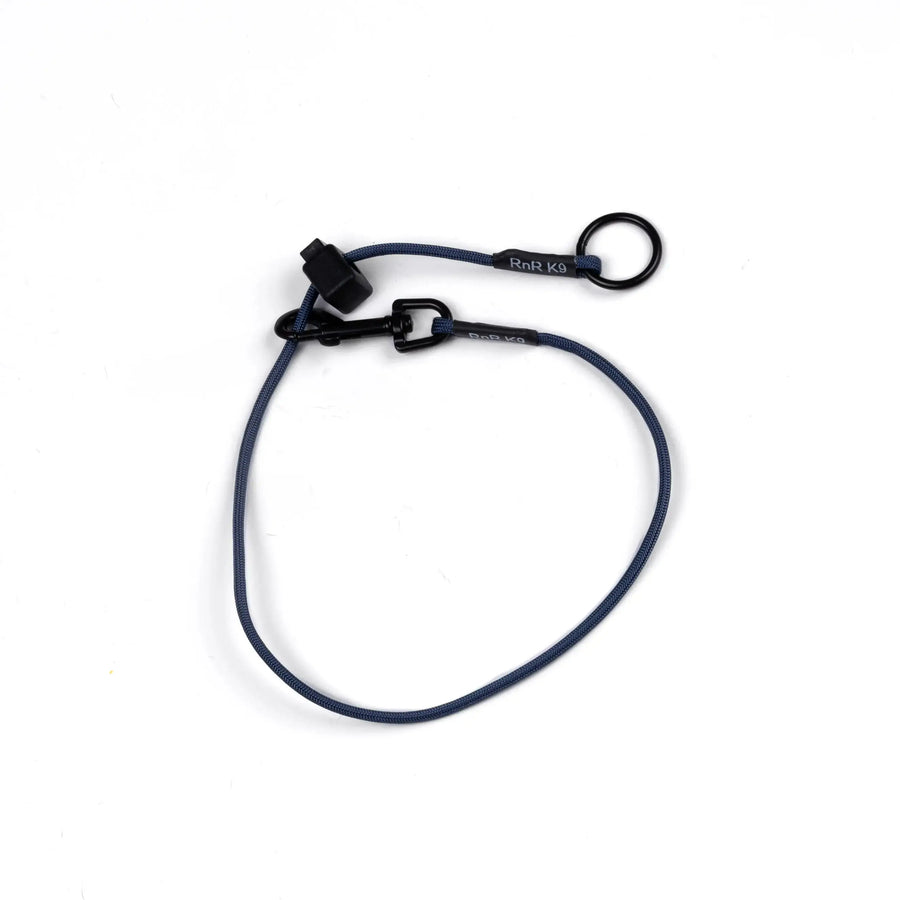 Navy Dominant Dog Collar