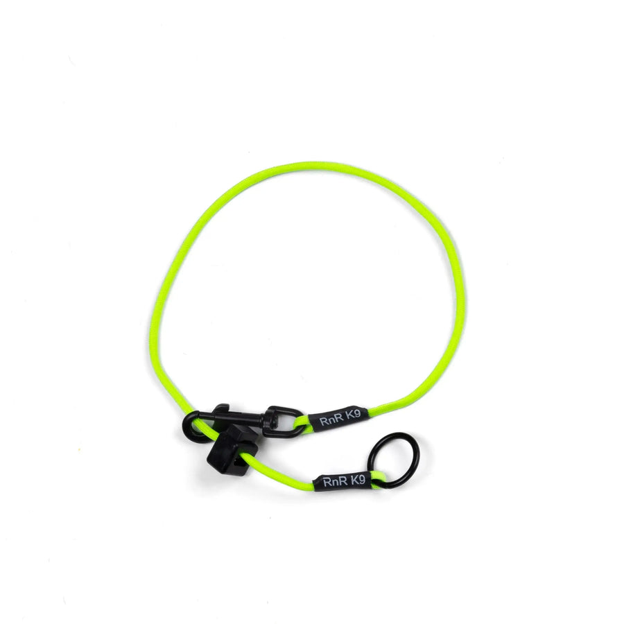 Neon Green Dominant Dog Collar