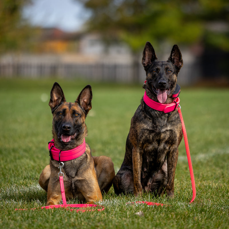 Pink For A Purpose