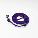 Purple Combo Slip Leash RnR K9