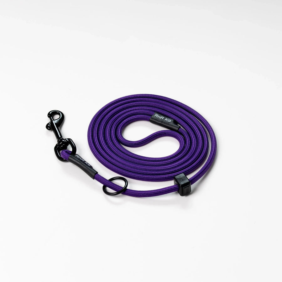 Purple Combo Slip Leash RnR K9