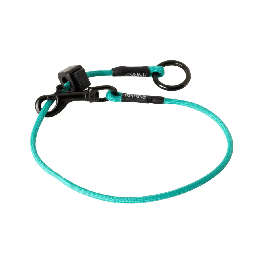 Teal Dominant Dog Collar RNRK9