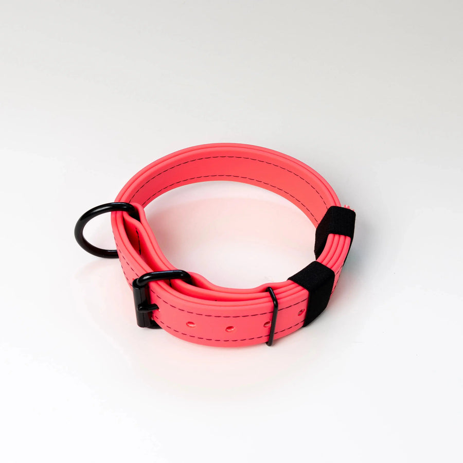 The Pink Mini Trial Collars RnR K9